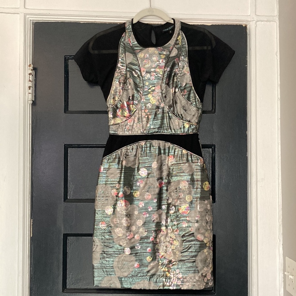 Distinctive Cynthia Rowley mesh and shimmer cocktail dress